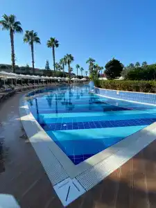 Tuı Magic Life Jacaranda - 92