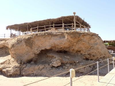 Viva Blue Resort and Diving Sharm El Naga (Adults Only) - 50