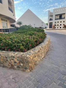 Blend Club Aqua Resort - 34