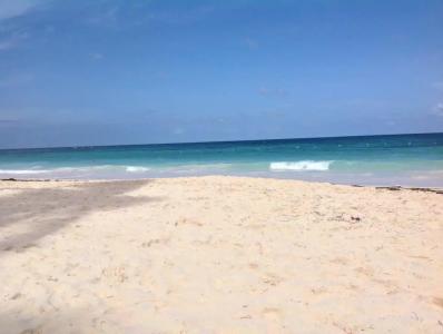 VIK Arena Blanca - 28