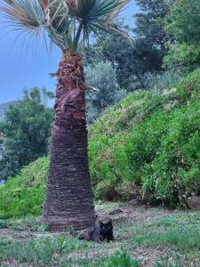 Aria Claros Beach & Spa Resort – All Inclusive 24H - 39