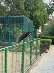 JA Lake View, Dubai - 60