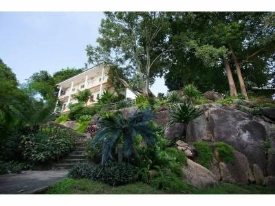 The Green Plaza - 59