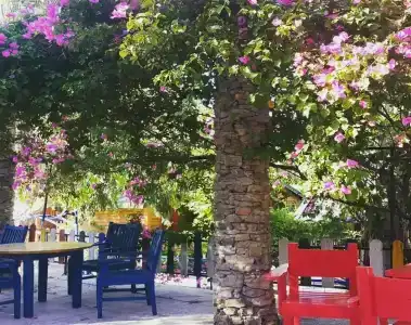 Sugar Beach Club - 79