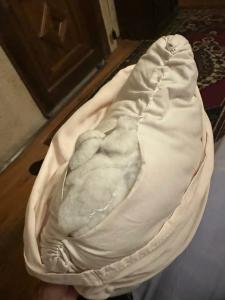 Nature Park Cave - 38