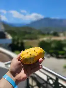 Meder Resort - Ultra All Inclusive - 100