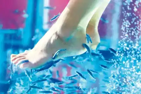 Dalaman Airport Lykia Thermal & Spa - 72