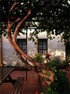 Ürgüp Inn Cave - 3