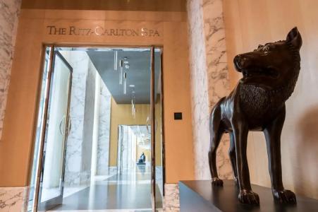 Ritz Carlton Residences DIFC Downtown Dubai - 5