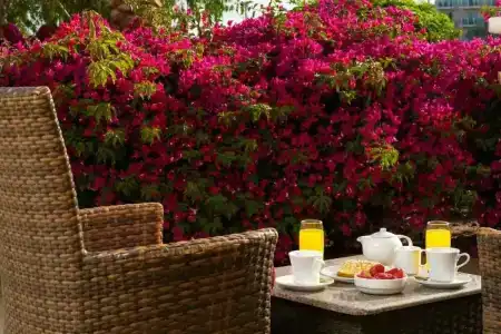 Movenpick Resort & Spa El Gouna - 84