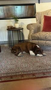 Osmanli Cappadocia - 79