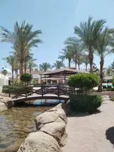 Coral Hills Resort Sharm El-Sheikh - 45