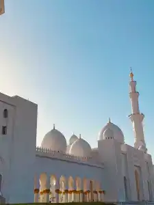 Sharjah Carlton - 90