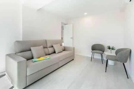 Vibra Palma Cactus - 71