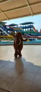Pickalbatros Jungle Aqua Park - Neverland Hurghada - 80