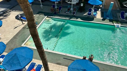 La Rosa Waves Beach - Couple & Families Only - 81