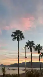 Begonville Beach - Adult Only - 38