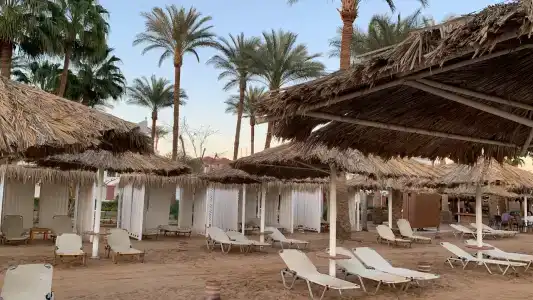 Iberotel Palace - Adults Friendly 16 Years Plus - 97