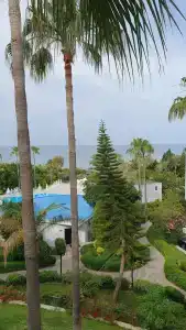 Iz Flower Side Beach - 51