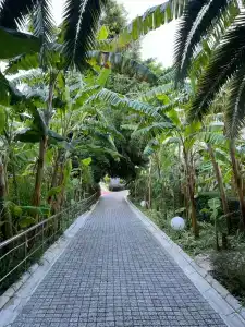 Sealife Buket Resort & Beach - 40