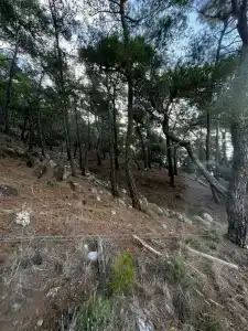 Swandors & Resorts - Kemer - 82