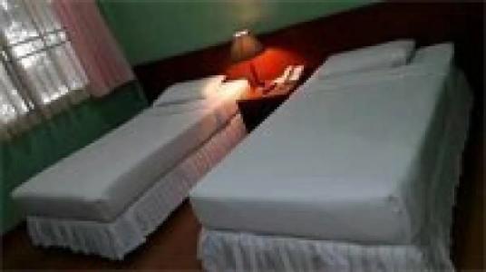 Birds and Bees Resort - 67