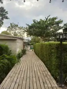 The Stage, Koh Chang - 17