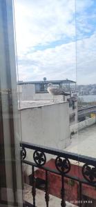 Galata Grace - 56