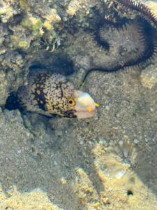 Nubian Village, Families and Couples only - 77