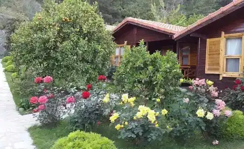 Ayris Çıralı - 18