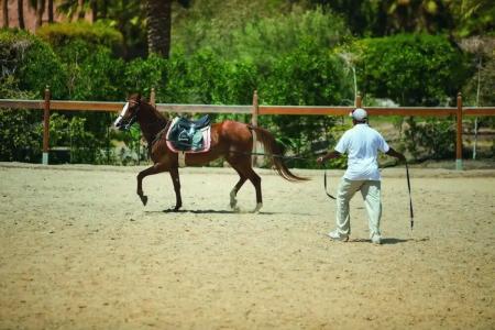 Movenpick Resort El Quseir - 21