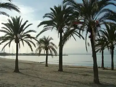 BLUESEA Mediodia - 1