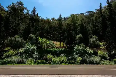 Sheraton Rhodes Resort - 61