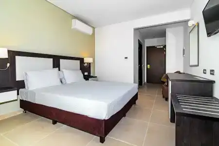 White Olive Premium Laganas - 47