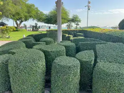 Sheraton Grand Doha Resort & Convention - 31