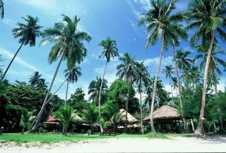 Koh Talu Island Resort - 12