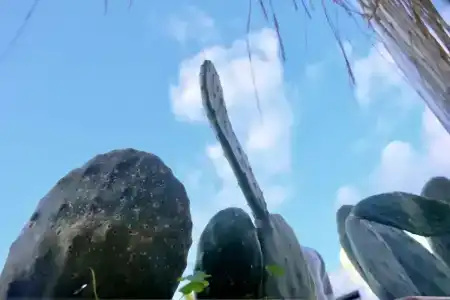 L'onda Oda Bodrum - 12