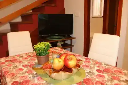 Guest House Tomanovic - 9