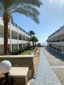Safir Sharm Waterfalls Resort - 99