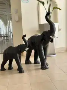 Sunrise Remal Resort - 46