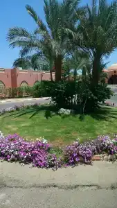 Jaz Makadi Oasis Resort - 48