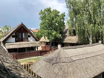 The Houses of History - anno 1830 - 31