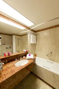 Holiday Inn Nice, an IHG - 87