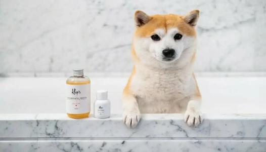 Kimpton - St Honoré Paris, an IHG - 46