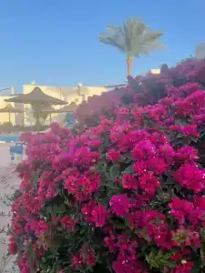 Sharming Inns - Couples and Families Only - 68