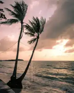 Lub d Koh Samui Chaweng Beach - SHA Extra Plus - 40