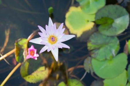 Mira Montra Resort Koh Mak - 33