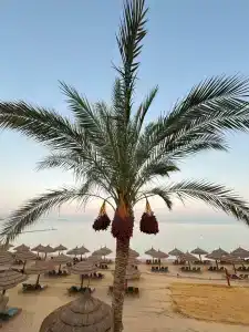 Park Regency Sharm El Sheikh Resort - 46