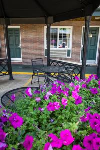 Courtesy Inn Downtown Eugene - 24