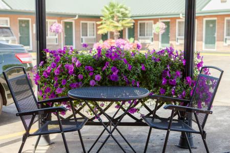 Courtesy Inn Downtown Eugene - 3